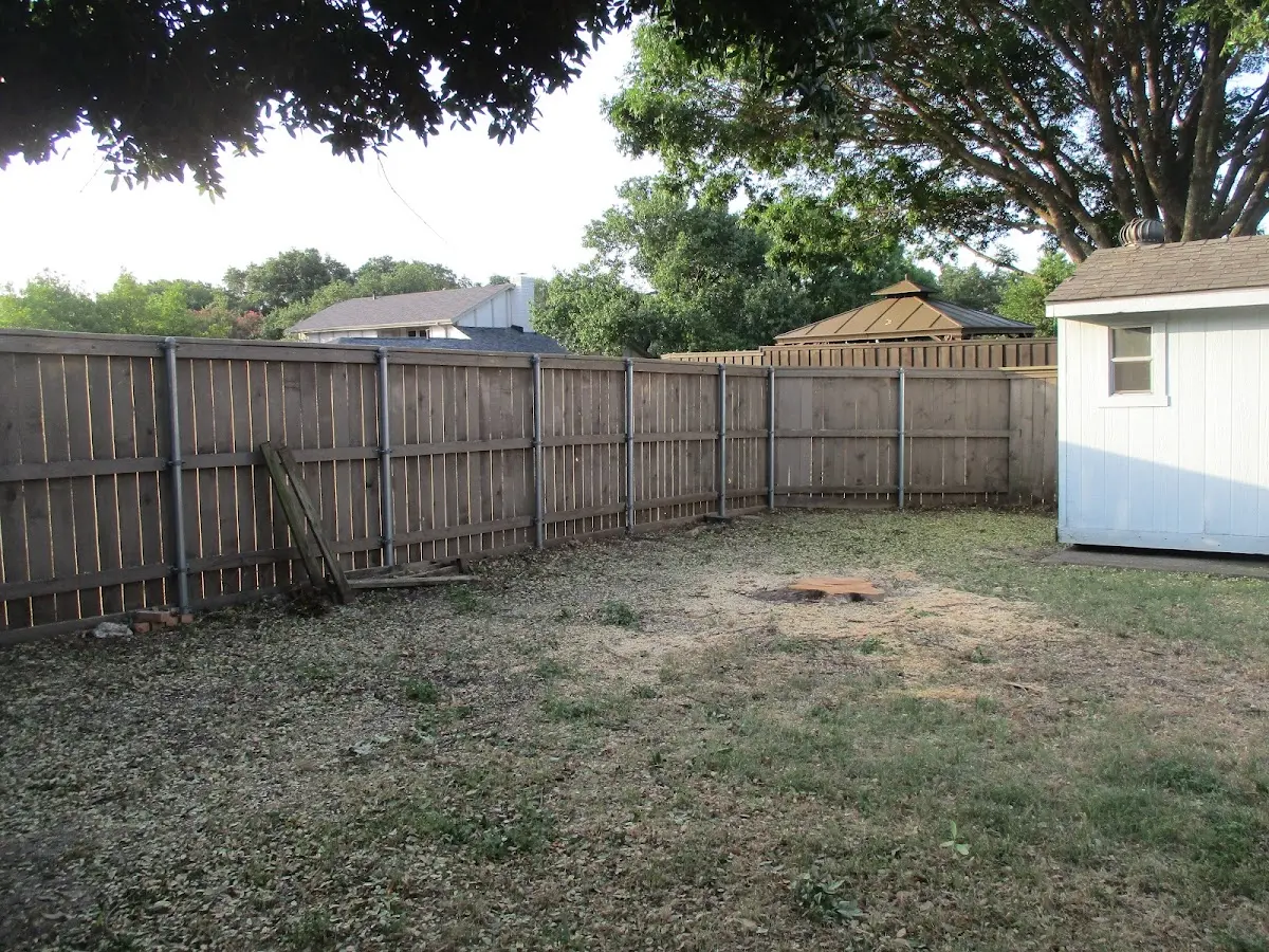 Cleared yard after professional tree removal in New Providence