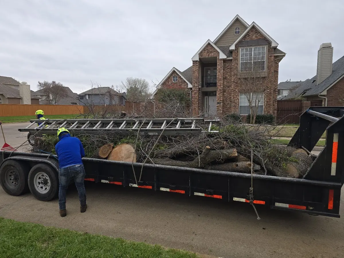 Expert Tree Fertilization with proper safety equipment in New Providence